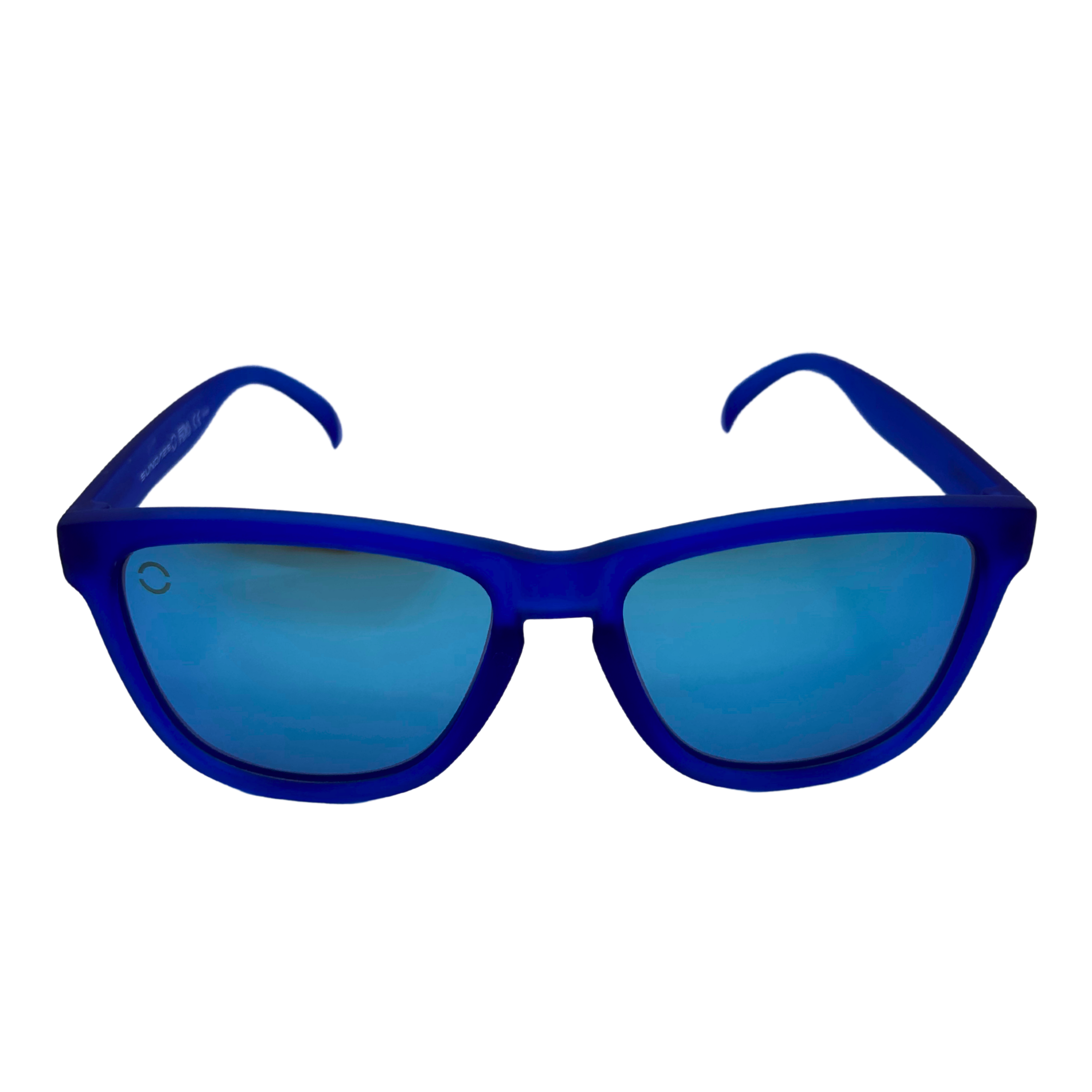 Polarized Blue Revo Sunglasses