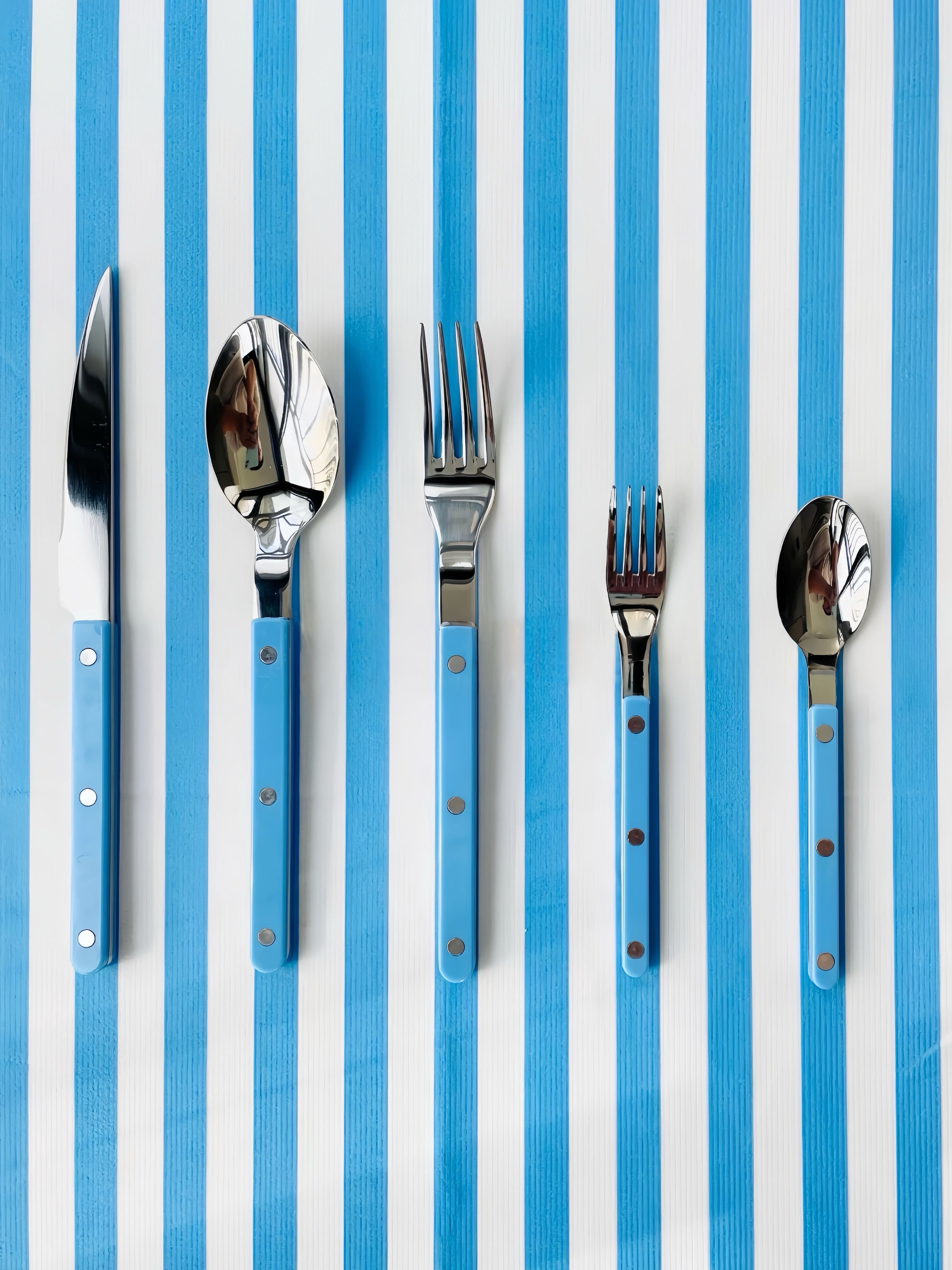 Set of 10 Dopamine Stainless Steel Rivet Flatware, Contemporary Bistrot Style Cutlery