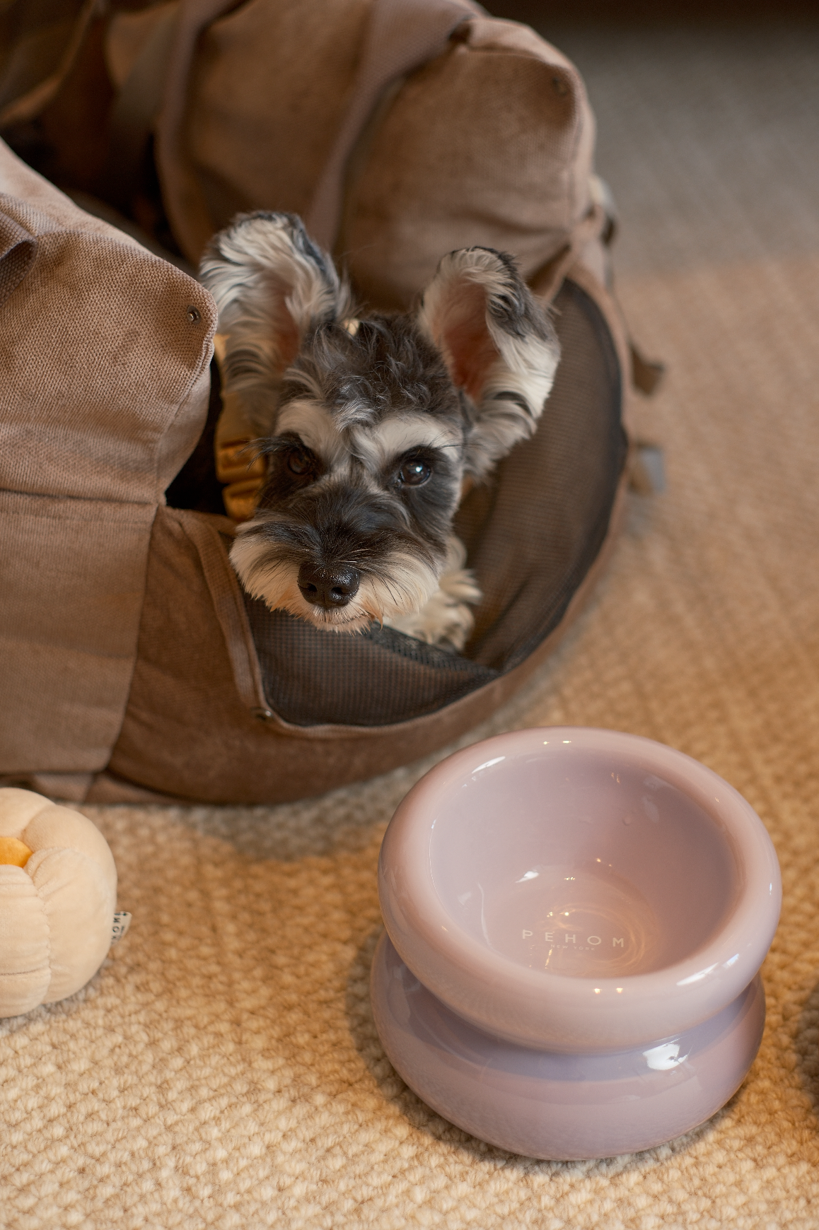 Soufflé Pet Bowl - Purple