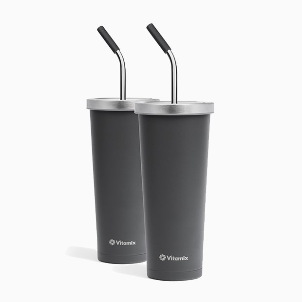 Vitamix E520 12-Speed Countertop Blender and Tumblers Slate