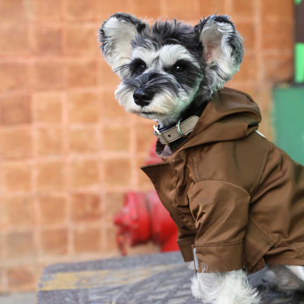 Tribeca Adjustable Velcro Raincoat -  Choco