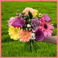 12 Month Gift Subscription