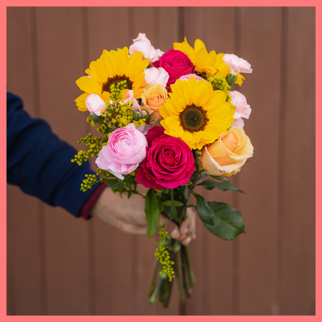 Here Comes the Sun(flower)