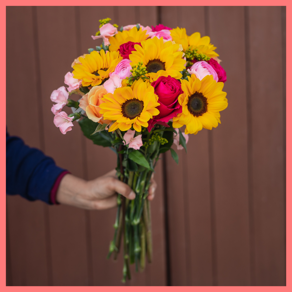 Here Comes the Sun(flower)