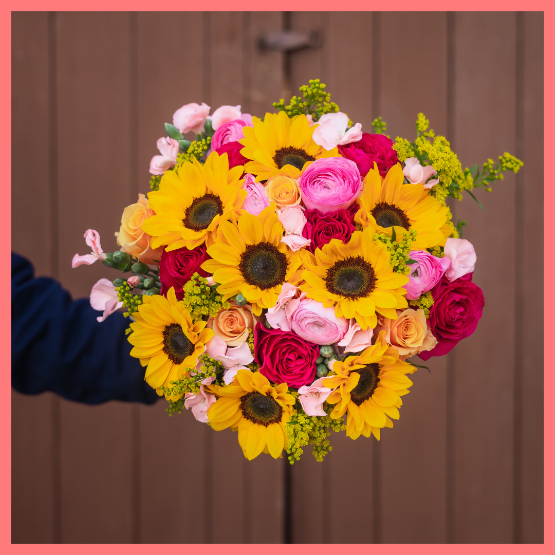 Here Comes the Sun(flower)