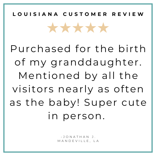 Louisiana Fleur De Lis Baby Gift Bundle