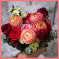 6 Month Subscription - Flowers