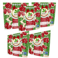 PRESALE: BFCM Buy 3 Get 2 Free Shark Tank Special! 50 Serving Bag (5 Ct)