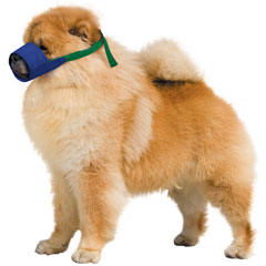 Short Snout Color-Coded Quick Muzzle Small-Large