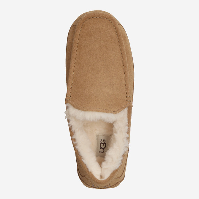 Men's Ascot Sheepskin Suede Slipper