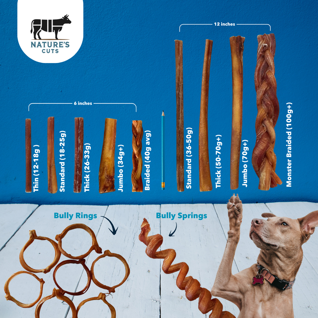 12" Standard Bulk Bully Sticks by Mighty Chewz
